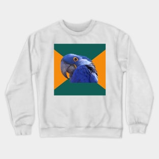 Paranoid Parrot Crewneck Sweatshirt